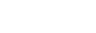 Meta Business Partner